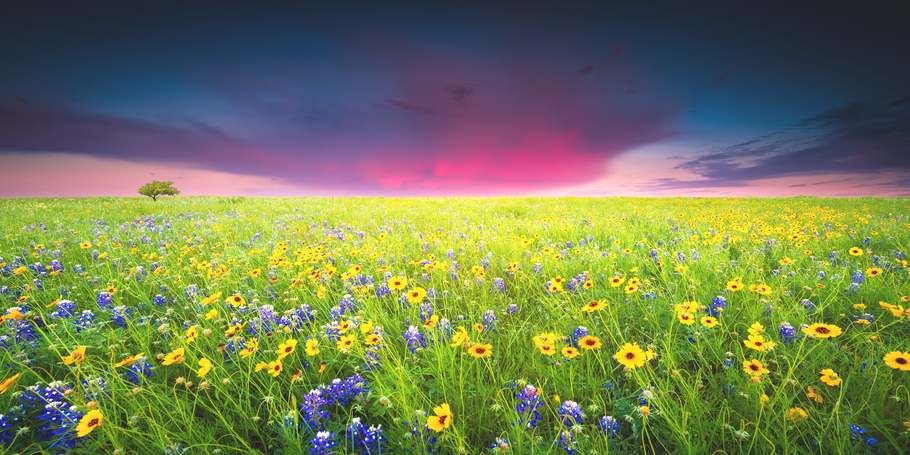 Attract The Life You Want With Positive Thinking