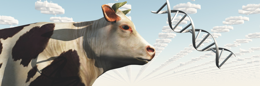 Is the USDA Still Turning a Blind Eye to GMOs in Organics?