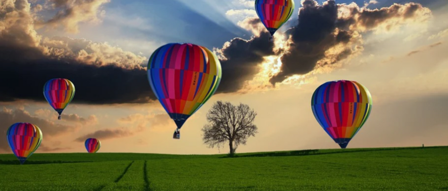 Is Fear Holding You Back?