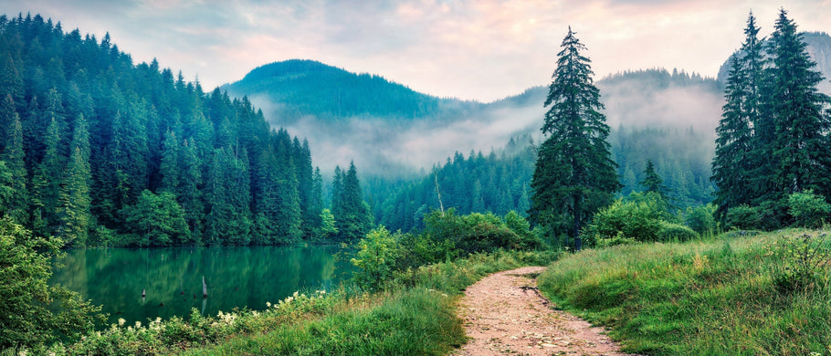 Spending Time In Nature Reduces Stress!