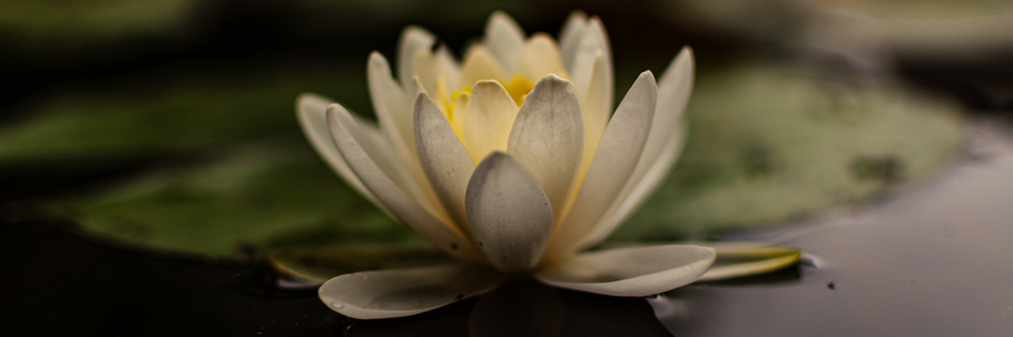 Yoni Steaming To Ease A Woman's Natural Cycle