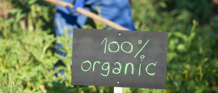 Is Certified Organic Good Enough For You And Your Family?