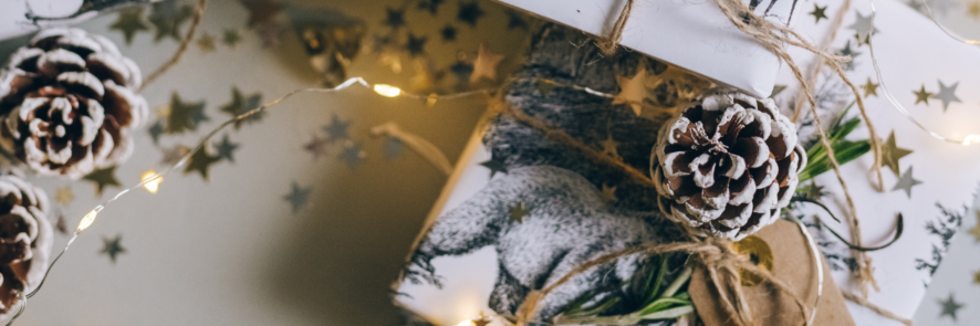 Holistic Wellness Holiday Gift Guide