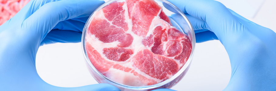 Lies Around Lab-Grown Fake Meat