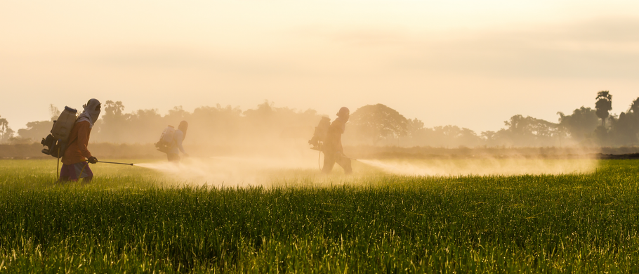 Pesticides In Your Home: A Silent Killer?
