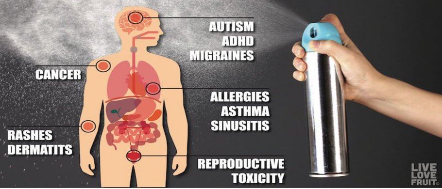 STINK! Documentary: Toxic Chemicals In  Consumer Products Go Unchecked